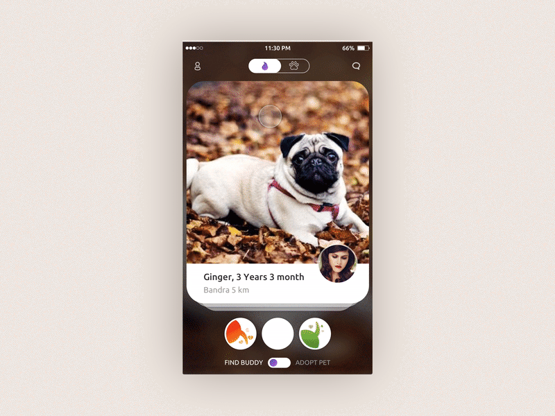 Animal Lover App animal love lover map pet ui