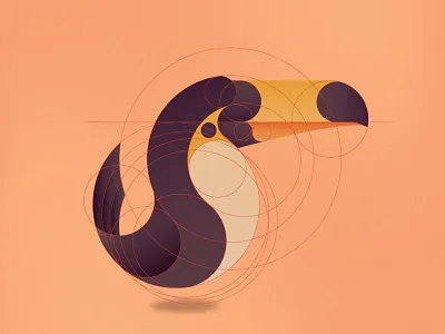 Toucan Guides birds brazil fly toucan tropical