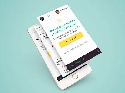 TheEverLearner Mobile design app design learn mobile responsive test
