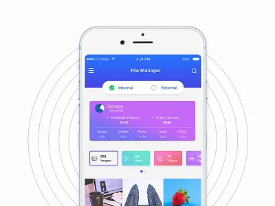 File Manager app dashboard design external interface internal manager storage ui design