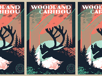 TypeHike | ALPHABEAST alphabeast caribou hike northern lights poster type typehike wpa