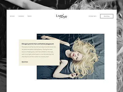 Live or Dye concept design salon ui