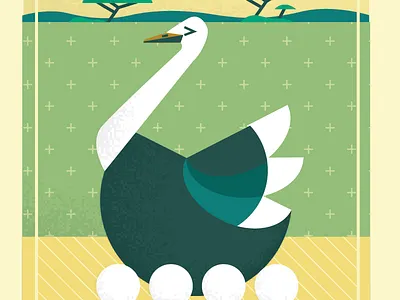 ostrich animal eggs ostrich