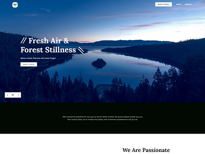 travel design responsive design ui ux web development