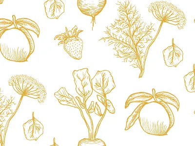 The Pickled Peach Cafe beet design drawing fennel hand drawn illustration leaf peach sketch spinach strawberry vegetables