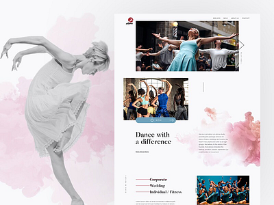 Redesigning DANS web design website