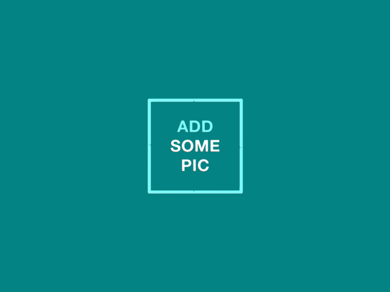 Add Some Pic animation app branding design graphics icon logo motion