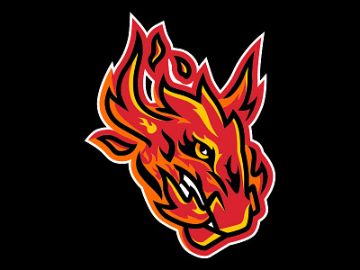 Fiery Bull bird logos logo design shorebirds sports sports identity sports logos