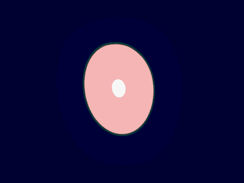 Wavvy animation experiment logo motion