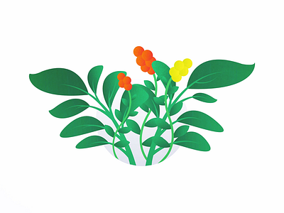 Floral clean colorful design floral flower illustration illustrator minimal