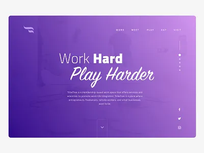 TribeTree design landing page site ui user interface ux web web design