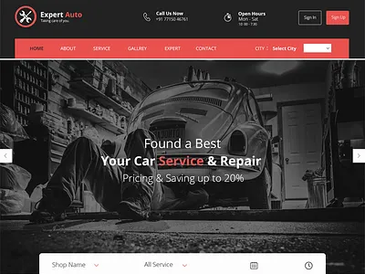 experts auto