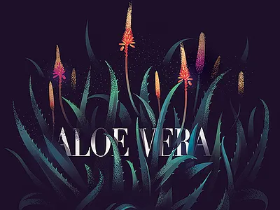 Aloe Vera - 06 aloe vera bangalore dramatic flower illustration india plants series texture wild