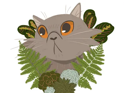 Rutabaga cat cat portrait ferns illustration persian cat pet portrait plants plants and cats prayer plant procreate rutabaga succulents