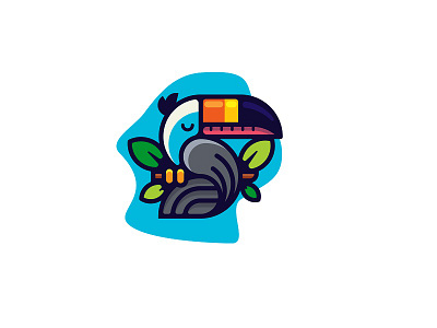 Toucan bird forrest toucan tree