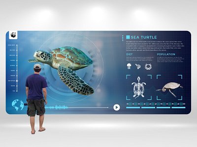 Interactive educational display 3d educational exhibit interactive ui ux xd