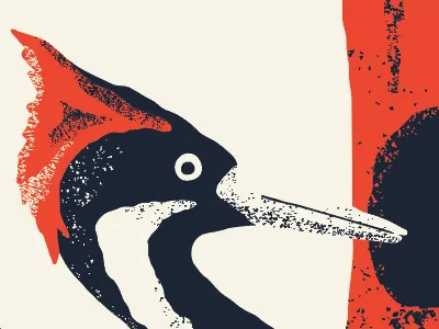 Alphabeast — Ivory-billed Woodpecker alphabeast extinct ivory billed woodpecker