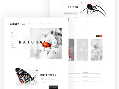 insect web page app design home insect ue ui website