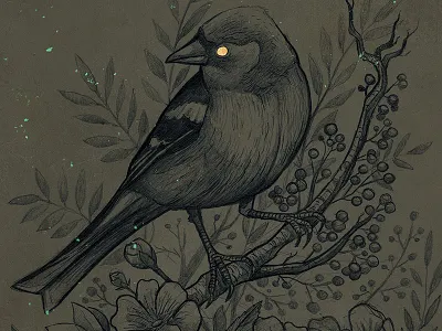 finch bird finch gold illustration nature