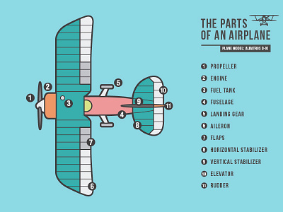 The parts of an airplane (Albatros D-XI) airplane avion data graphic illustration plane vector