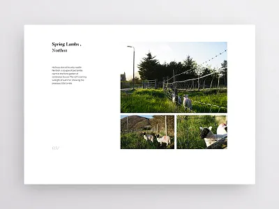 Layout Exploration 2 brand clean design minimal photography print simple travel typography white