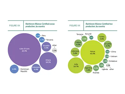Bubbles bubble chart cocoa graph infographic tea