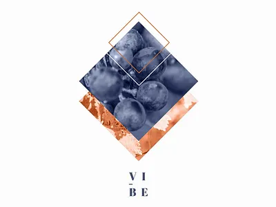 Concept Wine concept graphic wine