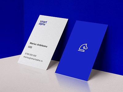 Branding for Smartalpha accouting branding business card