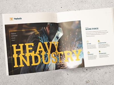 Tayloris Brochure