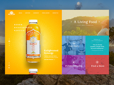 GTs Kombucha Throwback beverage colorful consumer drink eastern asian food grid kombucha ui ux yoga zen