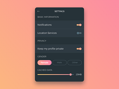 Daily UI 007 - Settings