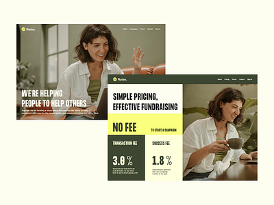 Fundraising Platform Landing Page branding ui web design