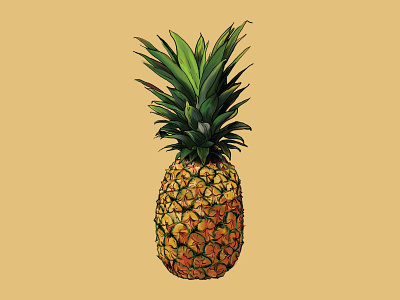 Pineapple Illustration digital illustration painting photoshop pineapple