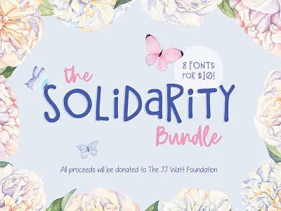 The Solidarity Bundle font font bundle script font typeface