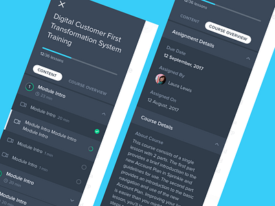 Course Progress with Tabbed Views course lms mobile nodes progress responsive design tabs udacity
