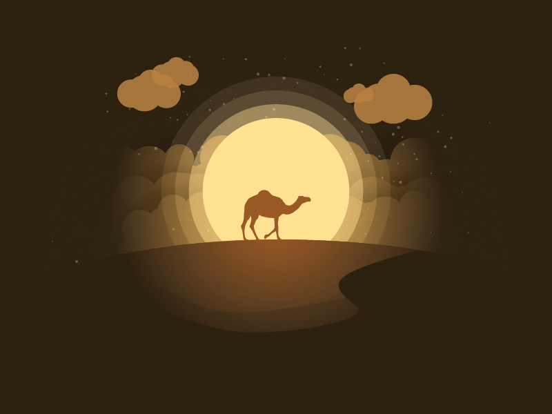 Example of Camel