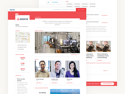 Opened Company Profile product design ui ux web