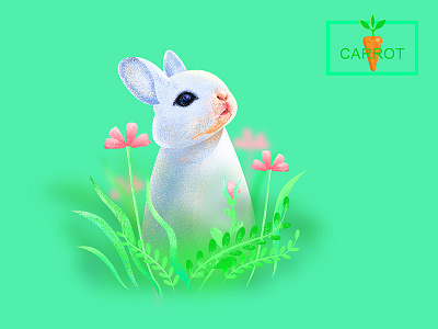 Little white rabbit illustration