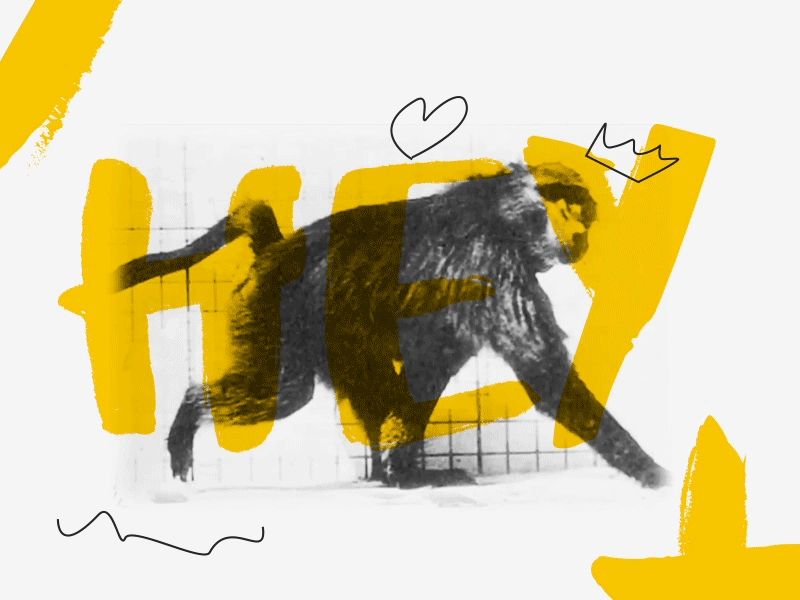 Hey Dude dude old film gif hey monkey motion texture