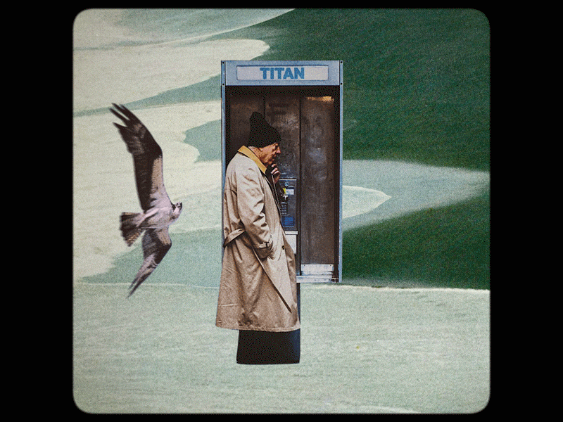 BIRD_CALL.gif animation collage design gif motion surrealism