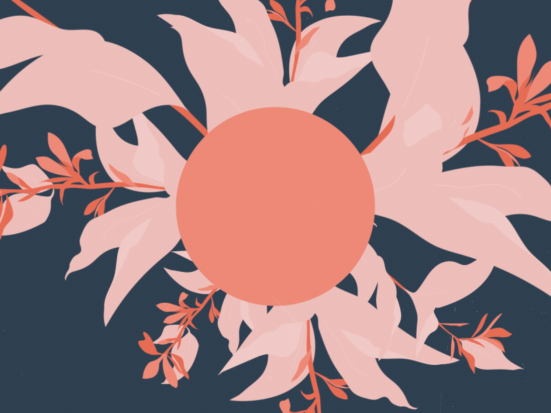 That thing... 2d 8fps animation cell flower