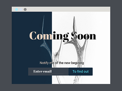 Daily Ui 048 Coming Soon coming soon daily ui daily ui 048 graphic design landing page material design nature product design typography ui ux web design