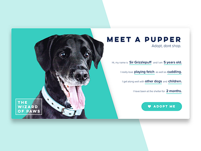 Daily Ui Challenge 006 - Profile adopt animal daily ui daily ui challenge dog puppy ui ux