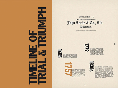 leave me alone im irish editorial ireland irish layout print timeline typography whiskey zine