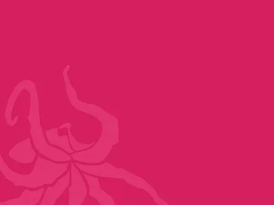 Octopus critter fuchsia illustration miami monotone octopus pink