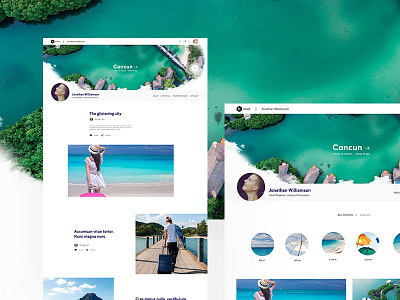 Traveller Profile Page travel travelling ui ux