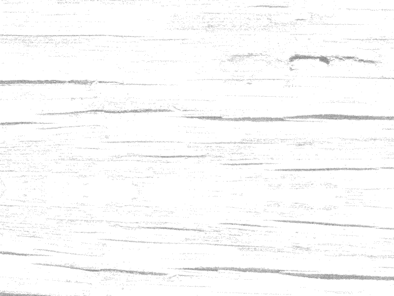 Western Typography animation typo typography western