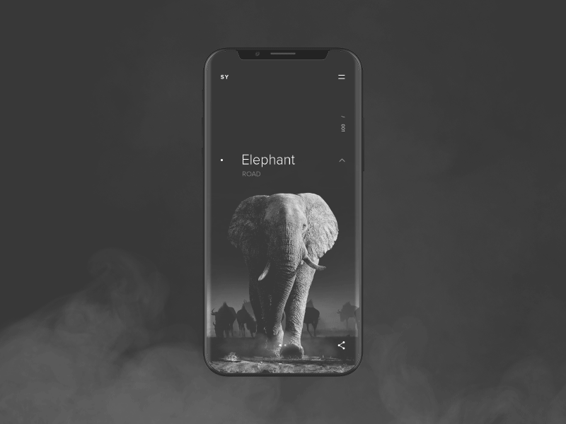 SY Expedition elephant animation app concept design desktop gif layout mobile ui ux web