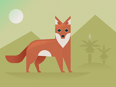 Ethiopian wolf africa animal dog endangered ethiopia illustration orange red wolf