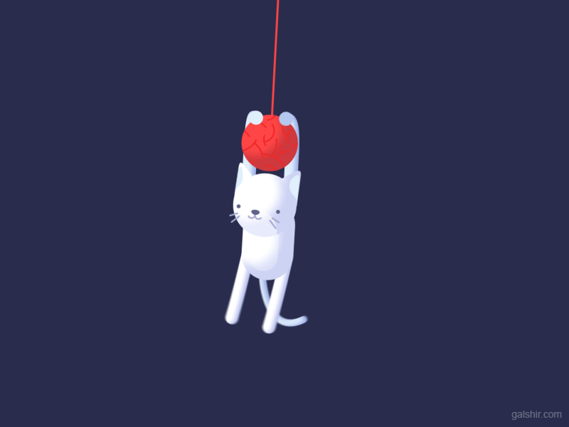 Swinging Cat animation bounce cat character cute kitten swing swinging